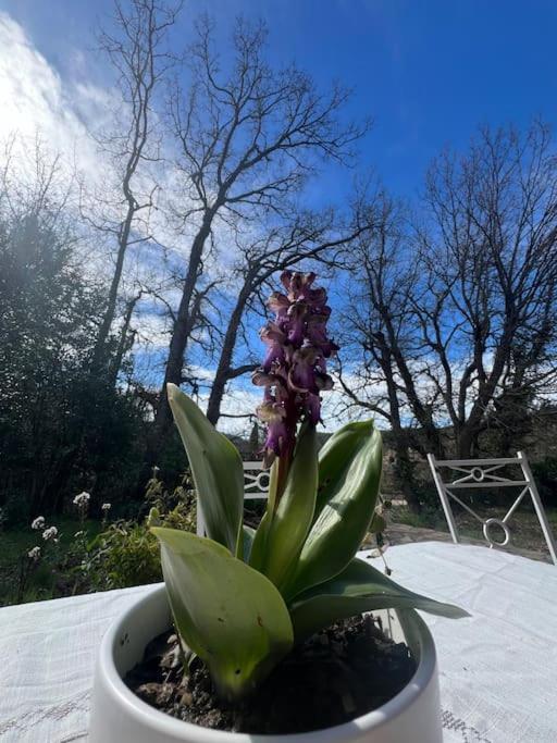 Villa Au Coeur De La Provence Evenos Dış mekan fotoğraf
